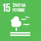 skauting-rozhladna-ciel-udrzatelneho-rozvoja-15 skauting-rozhladna-ciel-udrzatelneho-rozvoja-15